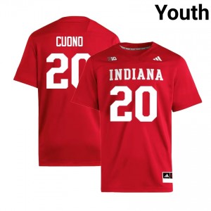 Youth Sean Cuono Crimson Indiana Hoosiers #20 College Football Official Jerseys 118204-730
